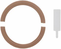 REAR MAIN SEAL CHEV 400 2909