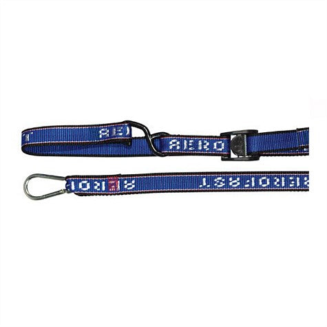 AEROFAST STRAP BIKE TIEDOWN WITH CARABINER